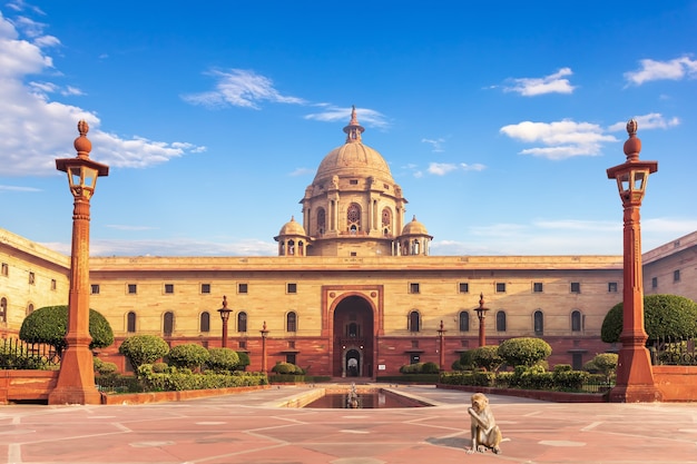 A monkey near the Rashtrapati Bhavan, the Presidential palace in New Dehli, India.