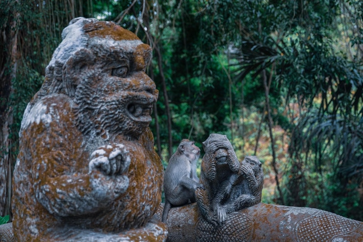 फोटो monkey sitting with monket statues around