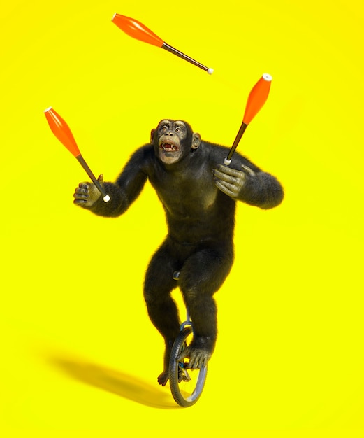 Monkey on unicycle playing with skittles