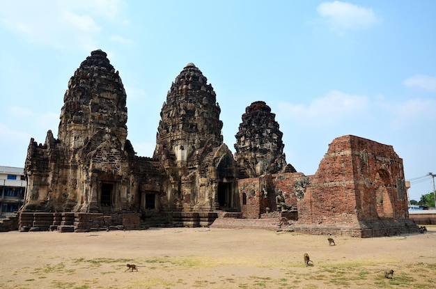 Monkey walking at ancient and ruins building Phra Prang Sam Yod on February 23 2016 in Lopburi Thailand