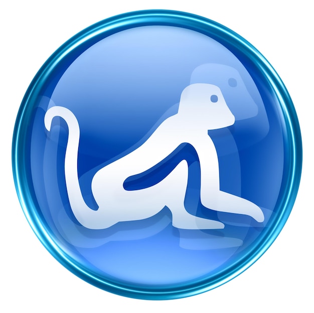 Monkey Zodiac icon blue