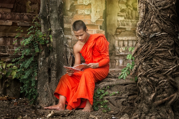 Monnik die boeddhistisch boek buiten de oude tempel leest.