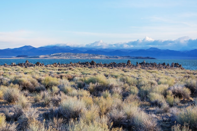 Mono lake formations