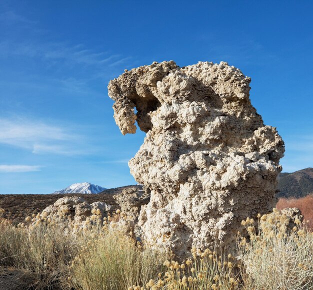 Mono Lake