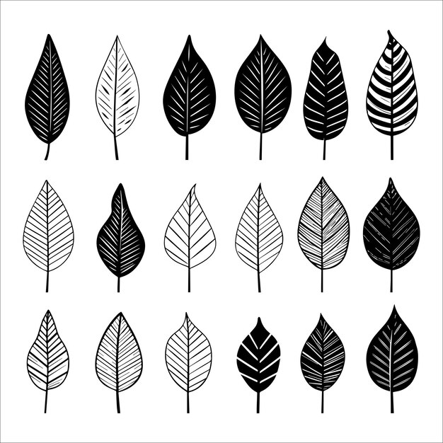 Monochromatic leaf medley snapshot