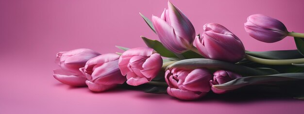 Monochromatic pink tulip arrangement for mother's day banner