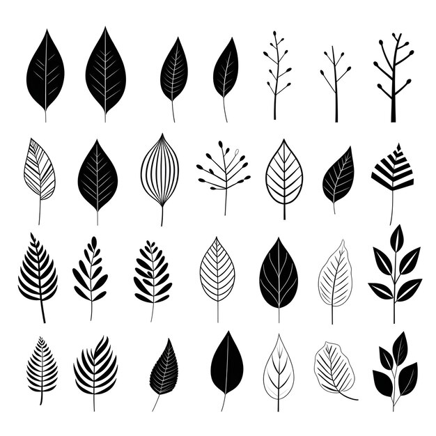 A monochrome journey exploring the world of black and white leaves