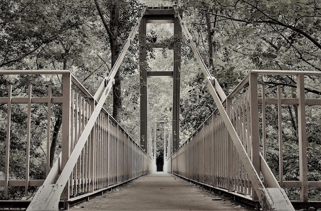 Monochrome long iron bridge over the river among the trees