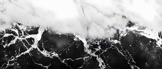 Monochrome Marble Elegance Contrasting Textures Concept Monochrome Marble Elegance Contrasting Textures