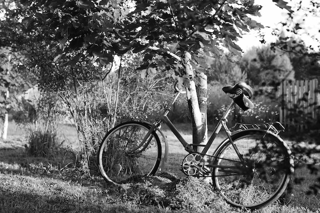 田舎の自然のモノクロ写真自転車