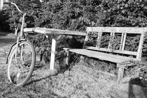 田舎の自然のモノクロ写真自転車