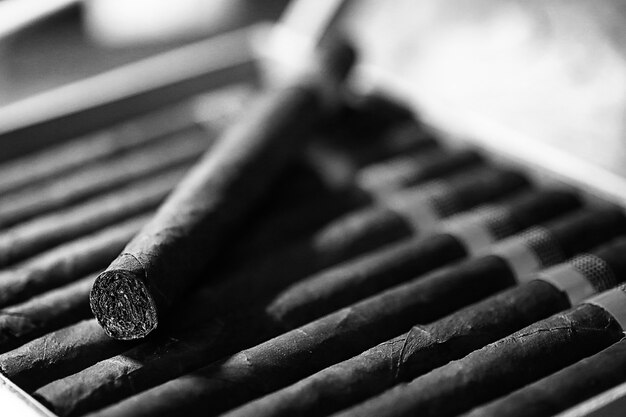 Monochrome photo of large wooden box of cigars handmade Cuban production