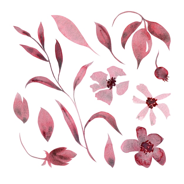 植物要素の単色セット 花 葉 枝 ベリー 手描きの水彩画
