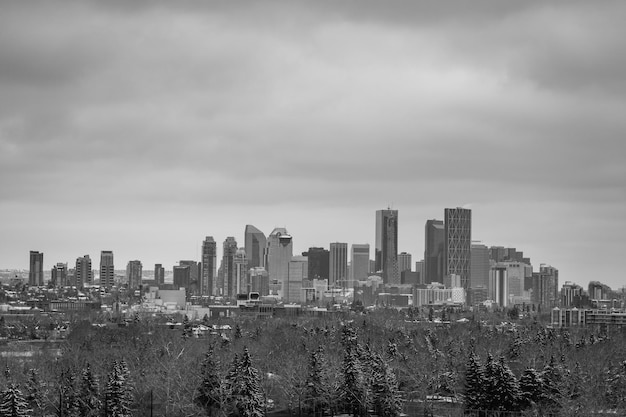 Monochroom van de skyline van het zakendistrict van Calgary