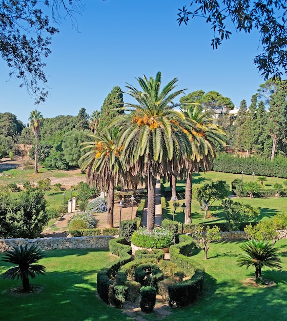 Monserrato park on a clear day