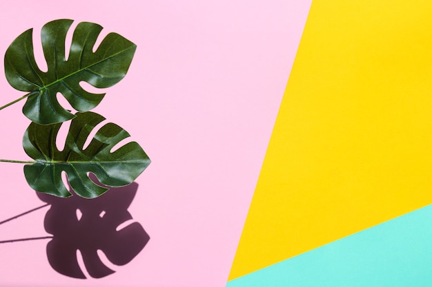 Monstera bladeren op een gele, roze en mint achtergrond, plat gelegd