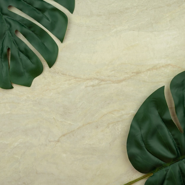 Monstera leaf on empty brown matt marble