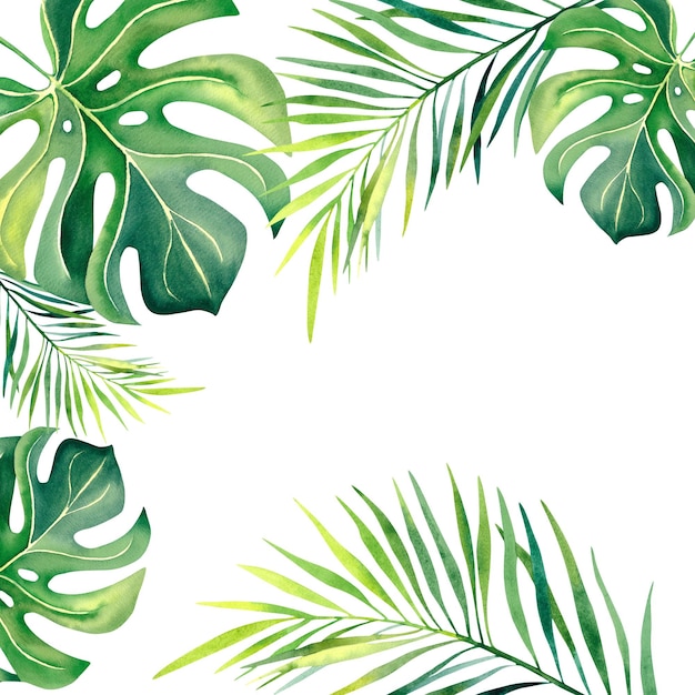 Monstera leaves palm branch banana leaves Watercolor illustration Tropical plants Tropical nature