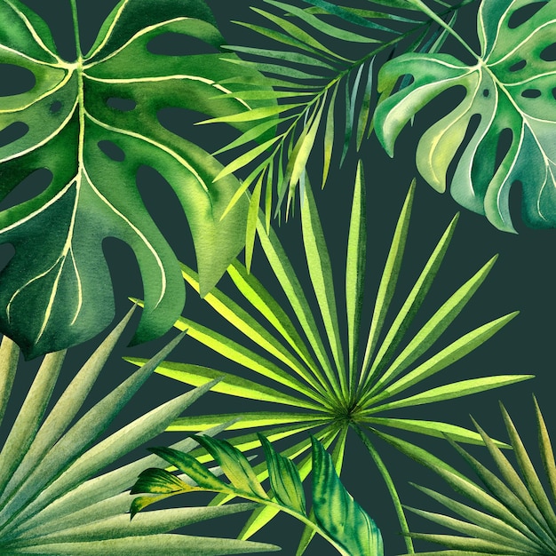 Foglie di monstera ramo di palma foglie di banano illustrazione acquerello piante tropicali natura tropicale