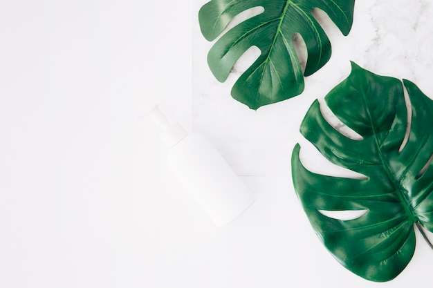 Monstera leaves or swiss cheese leaves with dispenser bottle on white backdrop