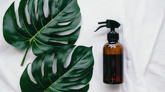 Monstera leaves or swiss cheese leaves with dispenser bottle on white backdrop