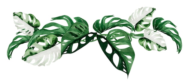 Monstera leaves watercolor border frame