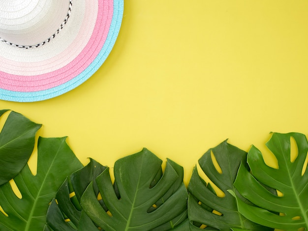 Monstera leaves With a hat 