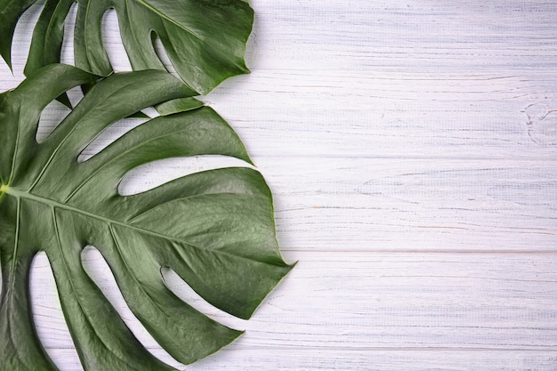 Monstera leaves on wooden background