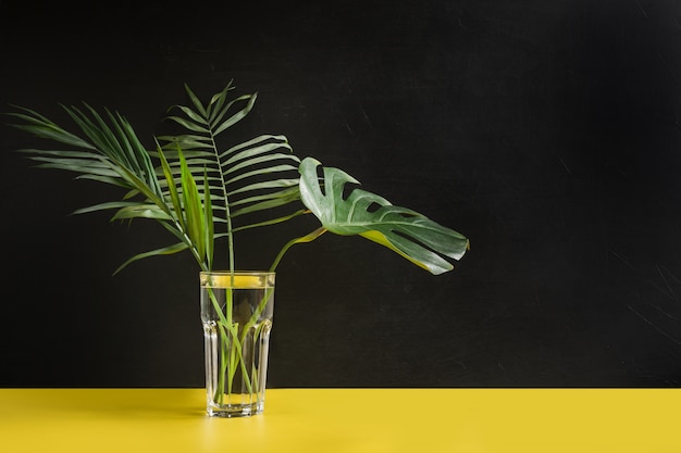 Monstera and palm leaves in glass on yellow and black background. Concept and minimalism.