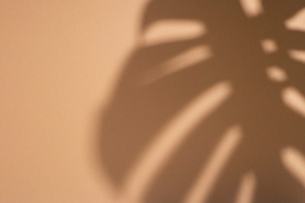 Monstera tropical leaf shadow on gold background. Top view, flat lay.