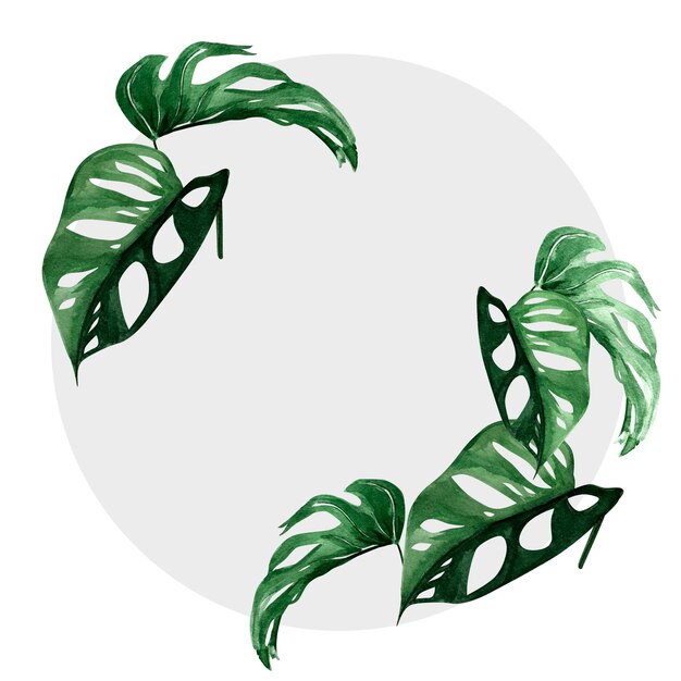 Monstera verlaat aquarellijst