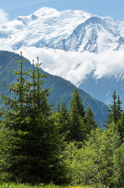 Mont Blanc-bergmassief (Chamonix-vallei, Frankrijk, uitzicht vanaf de rand van Plaine Joux)