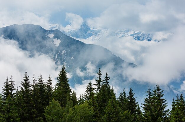 몽블랑 산 대산 괴 (Chamonix 계곡, 프랑스, Plaine Joux 외곽에서보기).