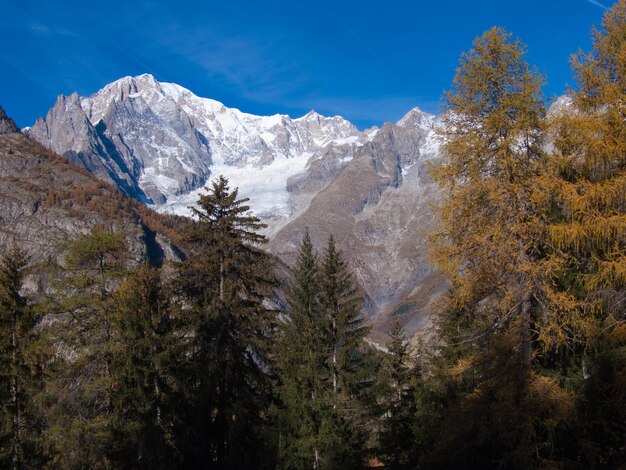 Mont blanc Suche courmayeur val daoste ITALIE