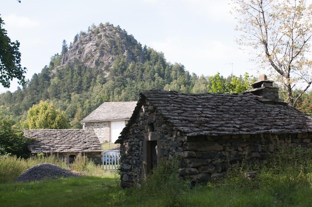 Mont gerbier des jonclhaute loirefrance