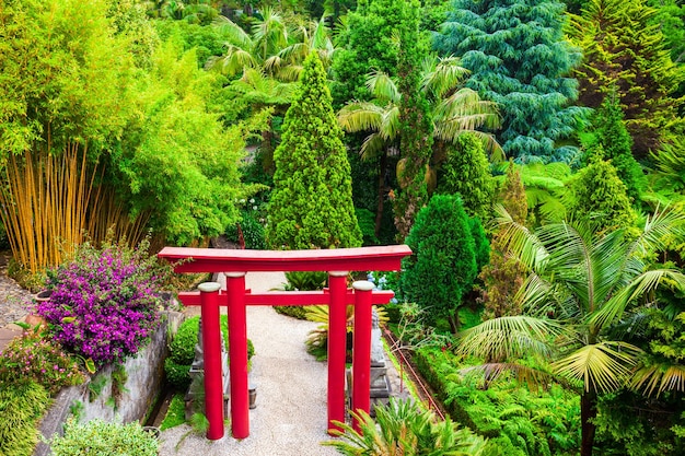 写真 マデイラ島のモンテ パレス トロピカル ガーデン