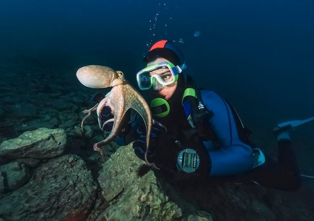 Montenegro, Adriatic Sea, U.W. photo, small octopus and diver - FILM SCAN