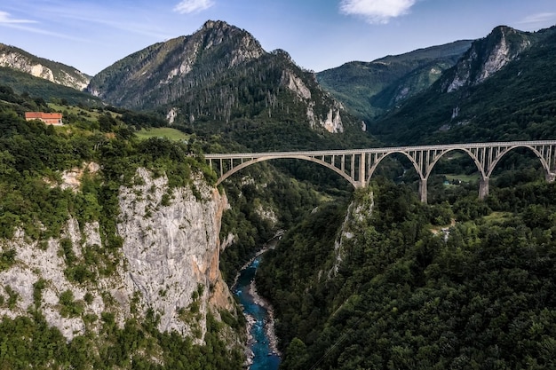 Foto montenegro kaart en vlag