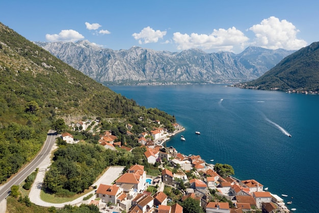 Montenegro kaart en vlag