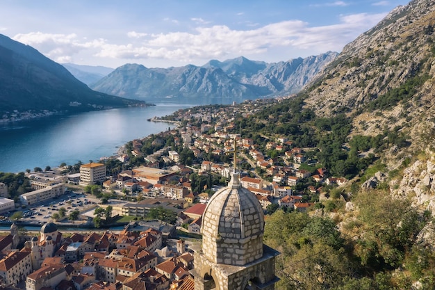 Montenegro kaart en vlag