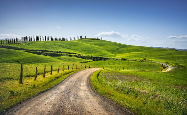 Monteroni dArbia route of the via francigena Curved road Siena Tuscany Italy