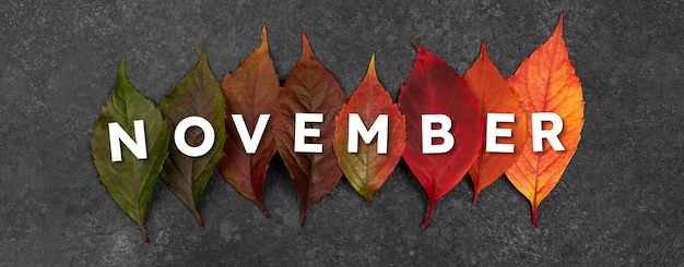 Month of november collage