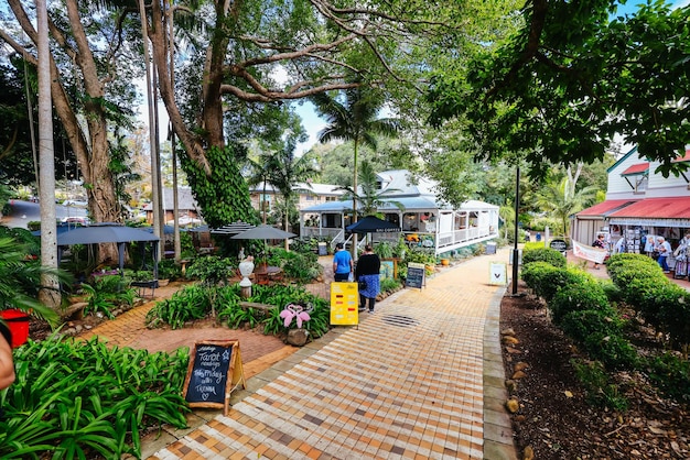 オーストラリアのクイーンズランド州サンシャインコースト (Sunshine Coast) の近くにあるグラスハウス山脈 (Glasshouse Mountains) のモントビル (Montville) 