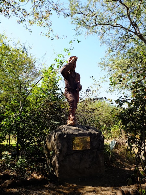 Photo the monument of livingstone on victoria falls on the border zambia and zimbabwe