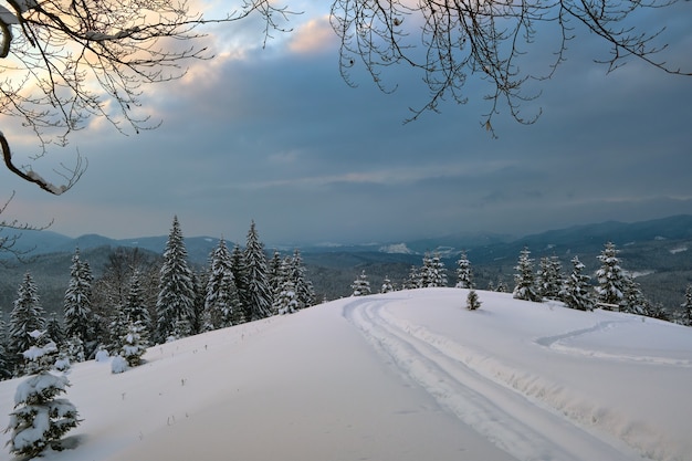 寒い暗い夜の冬の山の森で、歩道の線路と裸の暗い木々が新鮮な雪に覆われた不機嫌そうな風景。