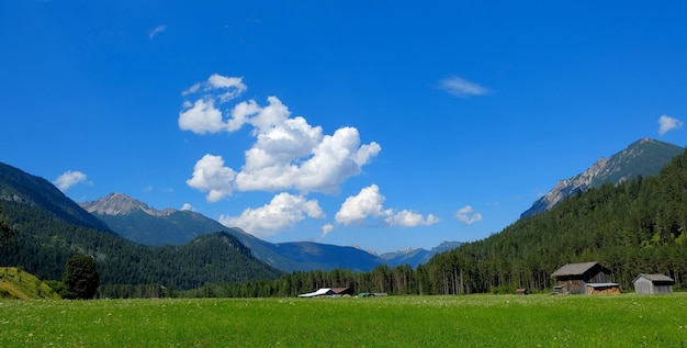 Mooi alpien landschap met groene weiden, alpenhuisjes en bergtoppen, Lechtal, Lech, Oostenrijk