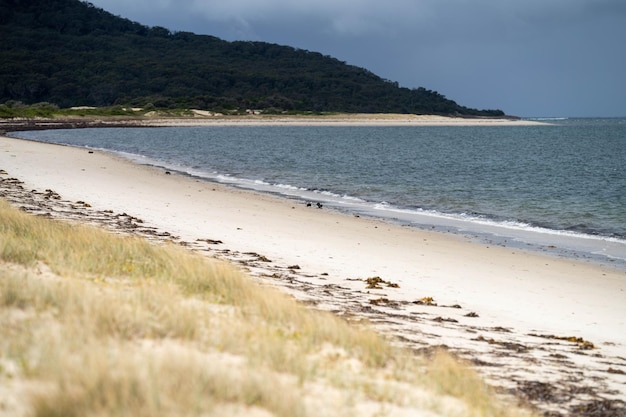 Mooi Australisch strand met golven en eiland in de schemering.