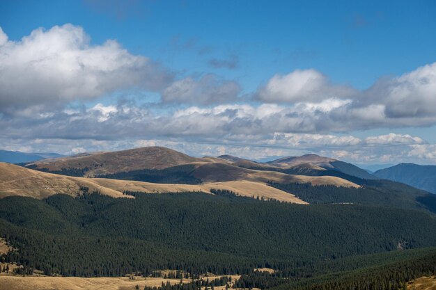 Mooi berglandschap in de bergen van de Karpaten van Roemenië.