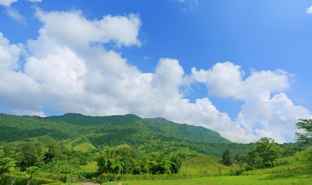 Mooi berglandschap met berg bos en blauwe hemel in Thailand.