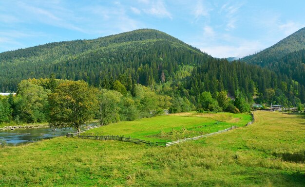 Mooi berglandschap op zonnige dag